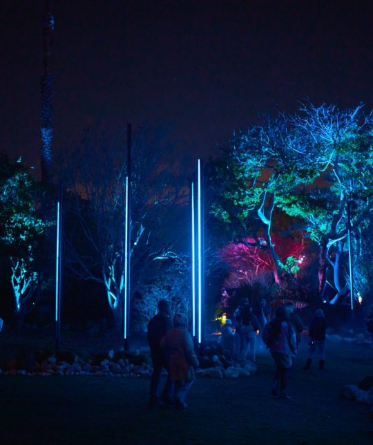 Astra Lumina Los Angeles