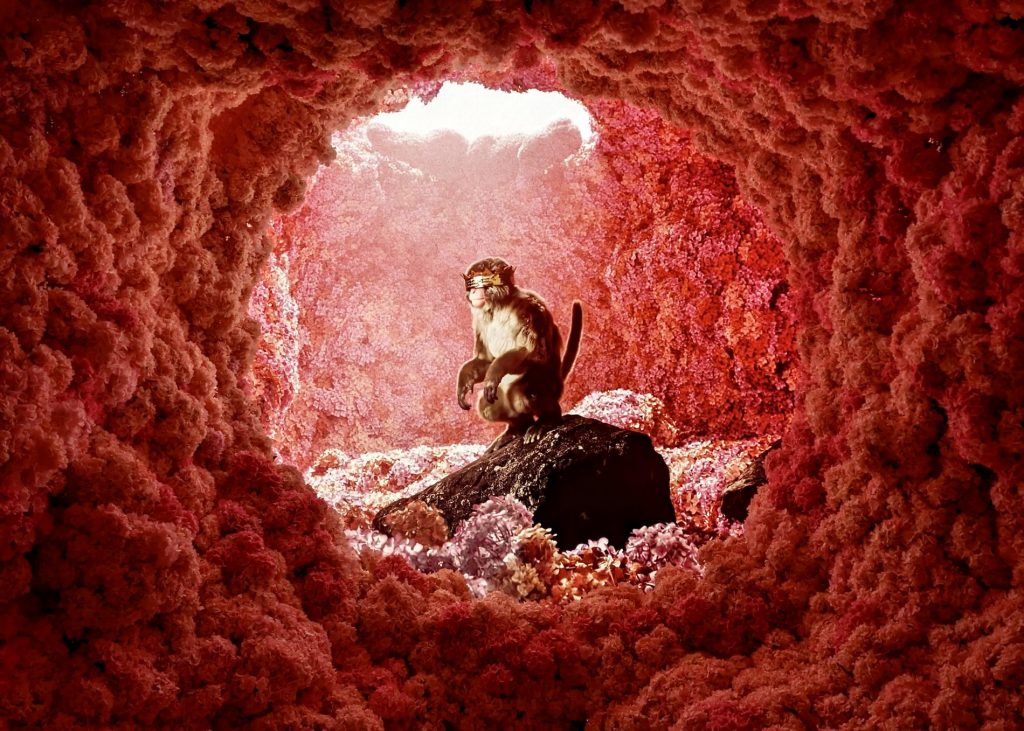 A BLINDFOLDED BABOON RESTS UNDERGROUND IN A 3D CAVERN OF HYDRANGEAS